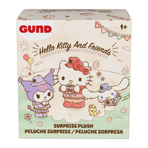 Gund Hello Kitty and Friends surprise plush packaging on a white background
